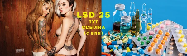 дмт Алзамай